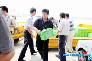 国航领导背景,从行业精英到航空巨头掌舵者的蜕变之路