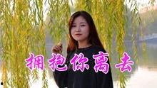 靓声女歌手个人资料,靓声女歌手的璀璨人生与音乐传奇
