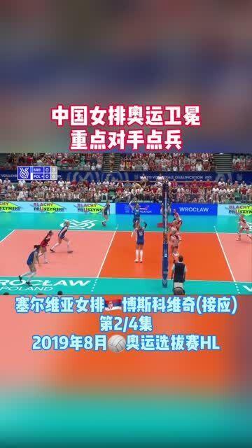 博斯科维奇个人资料,足球场上的璀璨明星，成就与荣耀的见证者