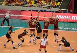 博斯科维奇个人资料,足球场上的璀璨明星，成就与荣耀的见证者