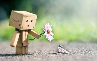 迷茫 图片,探寻迷茫的视觉之旅