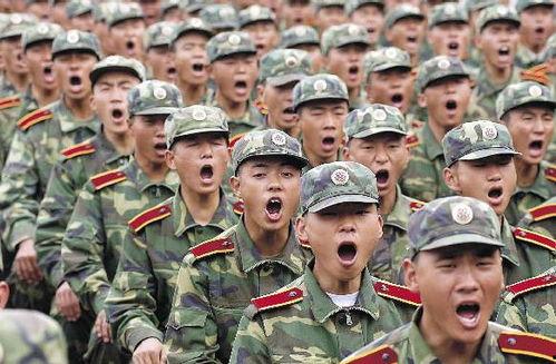 军校背景审查是什么,严守国家安全防线的关键环节