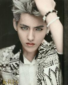 奶奶灰男头发图片