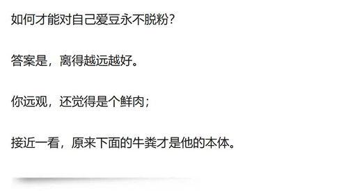 明星的近义词 娱乐,明星风采下的娱乐盛宴