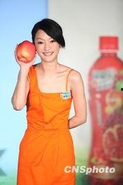 周迅片个人资料,光影交织的银幕传奇，跨越时代的演技魅力